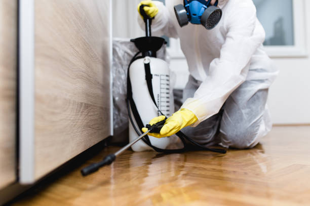 Best Best Pest Control Companies  in Boulder, CO