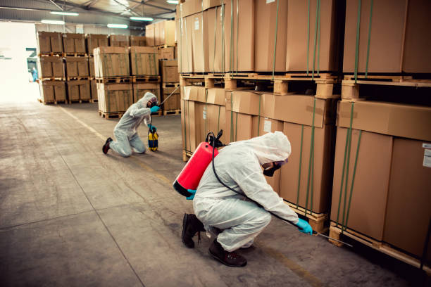 Best Pest Control Near Me in Boulder, CO