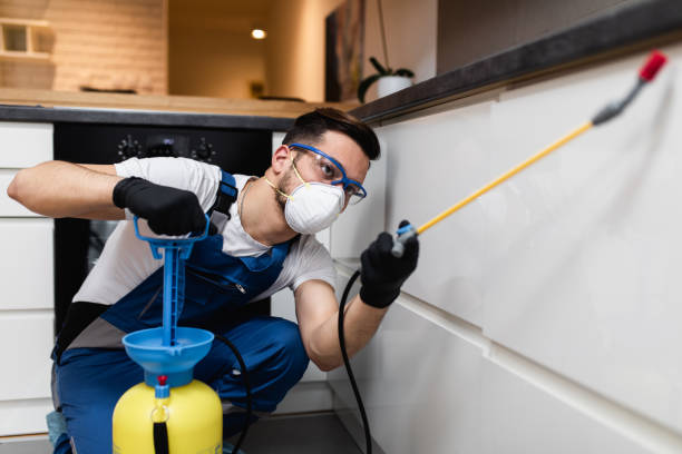 Best Ant Control Services  in Boulder, CO