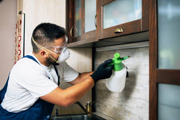 Best Affordable Pest Control Services  in Boulder, CO