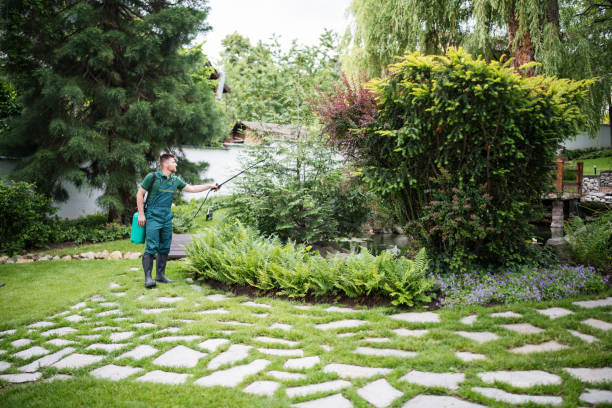 Best Wasp Removal Services  in Boulder, CO