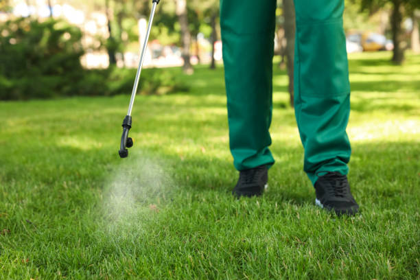 Best Pest Control Near Me  in Boulder, CO