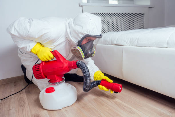Best Pest Control Treatment  in Boulder, CO