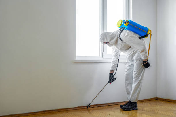 Best Bed Bug Extermination  in Boulder, CO