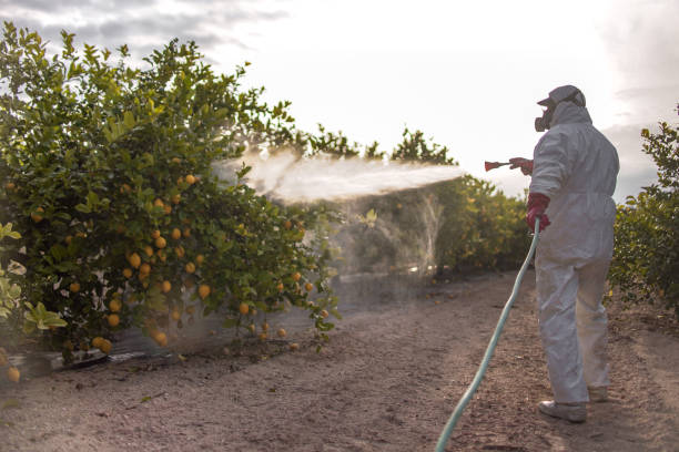 Best Mosquito Control Services  in Boulder, CO