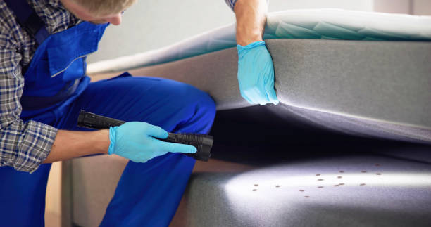 Best Best Pest Control Companies  in Boulder, CO