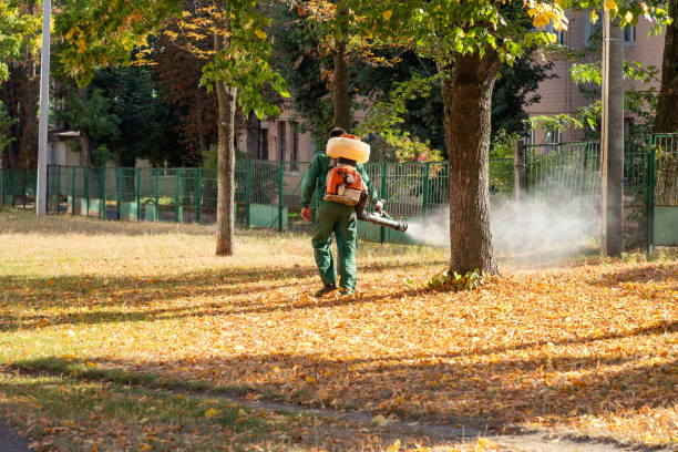 Best Pest Control for Restaurants  in Boulder, CO